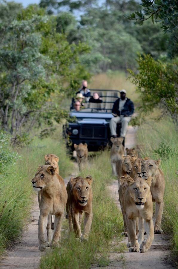 Tourism & Hospitality